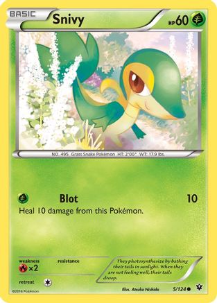 Snivy 005/124 XY Fates Collide - Common