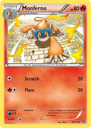 Monferno 019/114 - Reverse Holofoil XY Steam Siege - Uncommon