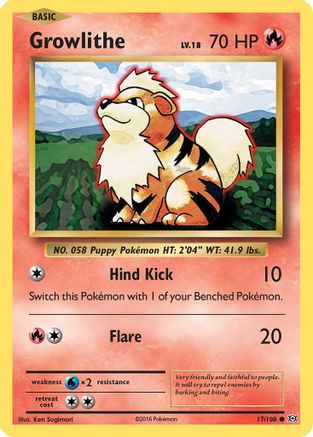 Growlithe 017/108 XY Evolutions - Common