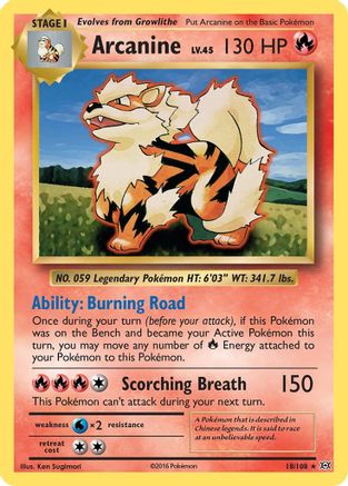 Arcanine 018/108 - Reverse Holofoil XY Evolutions - Rare