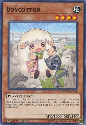 Boycotton (MP19-EN018) - 2019 Gold Sarcophagus Tin Mega Pack 1st Edition