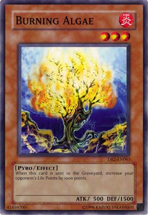 Burning Algae (DR2-EN063) - Dark Revelation Volume 2 Unlimited