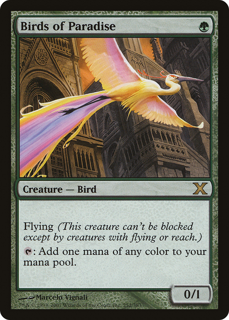 Birds of Paradise (10E-252) - Tenth Edition