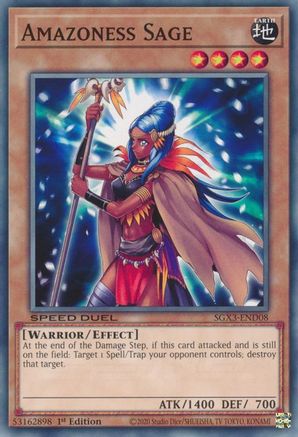 Amazoness Sage (SGX3-END08) - Speed Duel GX: Duelists of Shadows 1st Edition