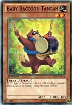 Baby Raccoon Tantan (SHSP-EN015) - Shadow Specters Unlimited