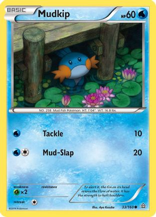 Mudkip 033/160 XY Primal Clash - Common