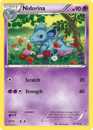 Nidorina 067 XY Primal Clash - Uncommon