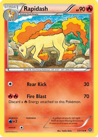 Rapidash 017/114  XY  Steam Siege - Uncommon