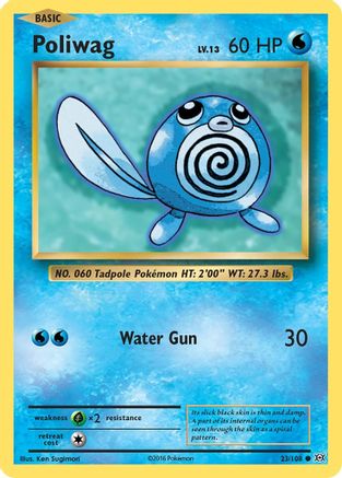 Poliwag 023/108  XY  Evolutions - Common