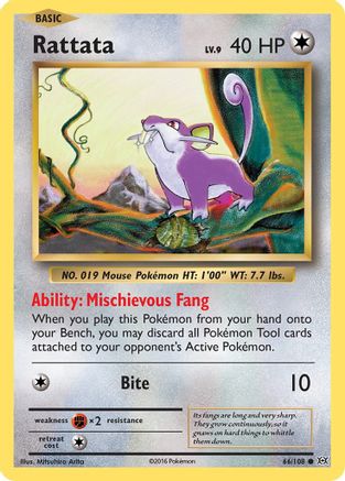 Rattata 066/108  XY  Evolutions - Common