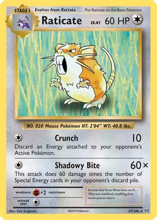 Raticate 067/108  XY  Evolutions - Rare
