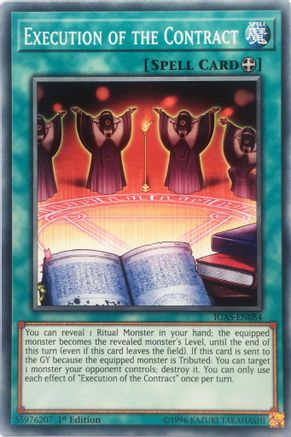 Execution of the Contract (IGAS-EN084) - Ignition Assault Unlimited