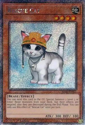 Rescue Cat (Platinum Secret Rare) (RA02-EN001) - 25th Anniversary Rarity Collection II 1st Edition