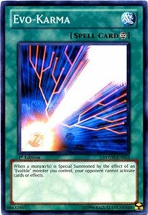 Evo-Karma (PHSW-EN053) - Photon Shockwave Unlimited