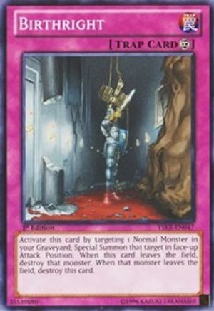 Birthright (YSKR-EN047) - Starter Deck: Kaiba Reloaded Unlimited